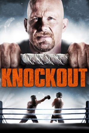 Born to Fight 2011 Hindi Dual Audio [1.3GB] - Movierulz
