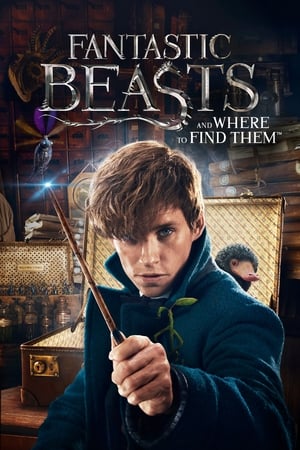 Fantastic Beasts and Where to Find Them 2016 HC [] 400MB - Movierulz