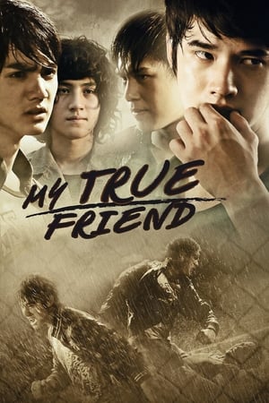 Friends Never Die (2012) Hindi Dubbed [1.1GB]