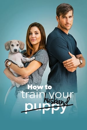 How to Train Your Husband 2018 Hindi Dual Audio [1GB] - Movierulz