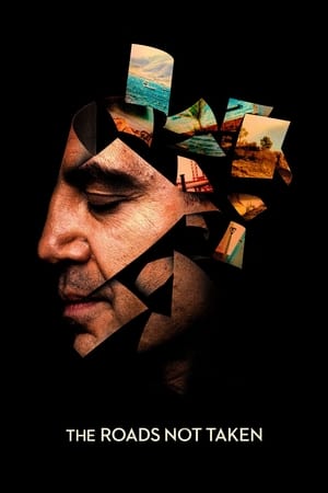 The Roads Not Taken (2020) Hindi Dual Audio – - Movierulz